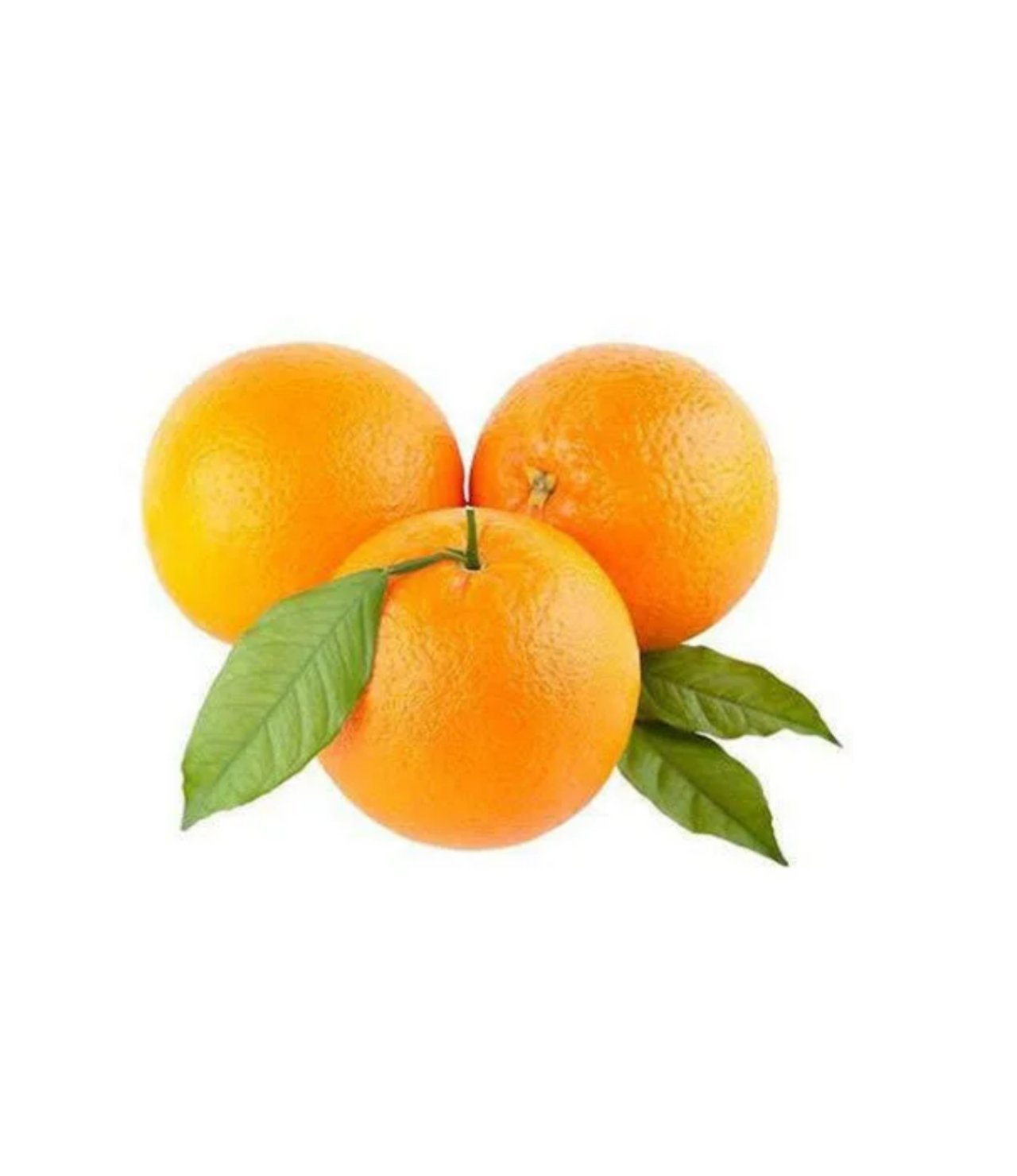 Valencia Orange South Africa Pack of 4